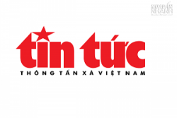 Báo tin tức Thông Tấn Xã đưa tin MuaBanNhanh.com top 76 Việt Nam